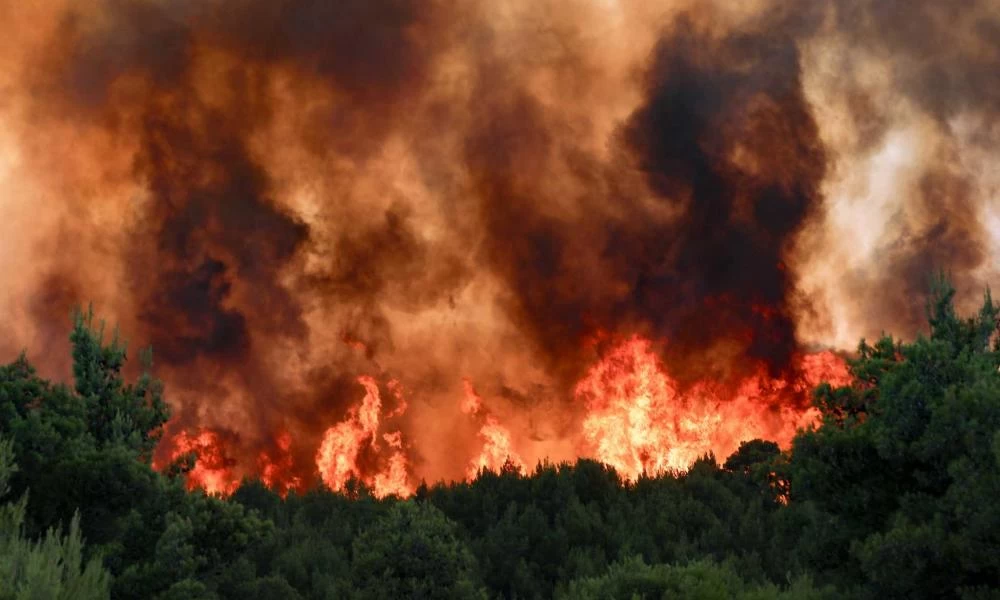 Κόλαση στην Βόρεια Αττική: Στον Άγιο Στέφανο η φωτιά - Πέρασε την Εθνική Οδό - Την πρόλαβαν πριν φτάσει στο ΚΥΤ